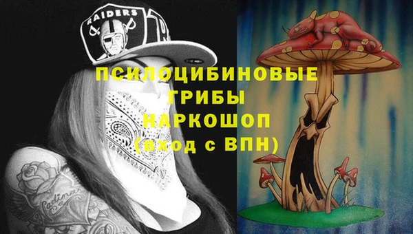 прущие крисы Новый Уренгой