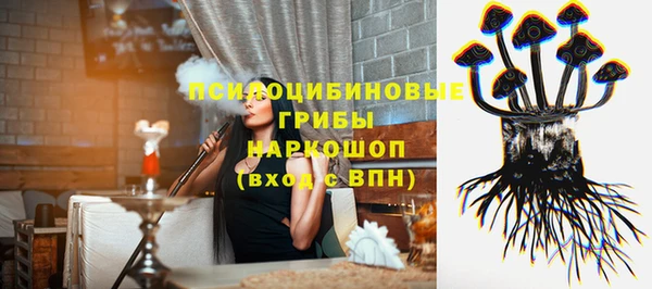 2c-b Медногорск