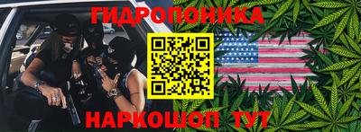 прущая мука Кингисепп