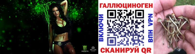 купить наркотик  OMG зеркало  Псилоцибиновые грибы MAGIC MUSHROOMS  Псков 