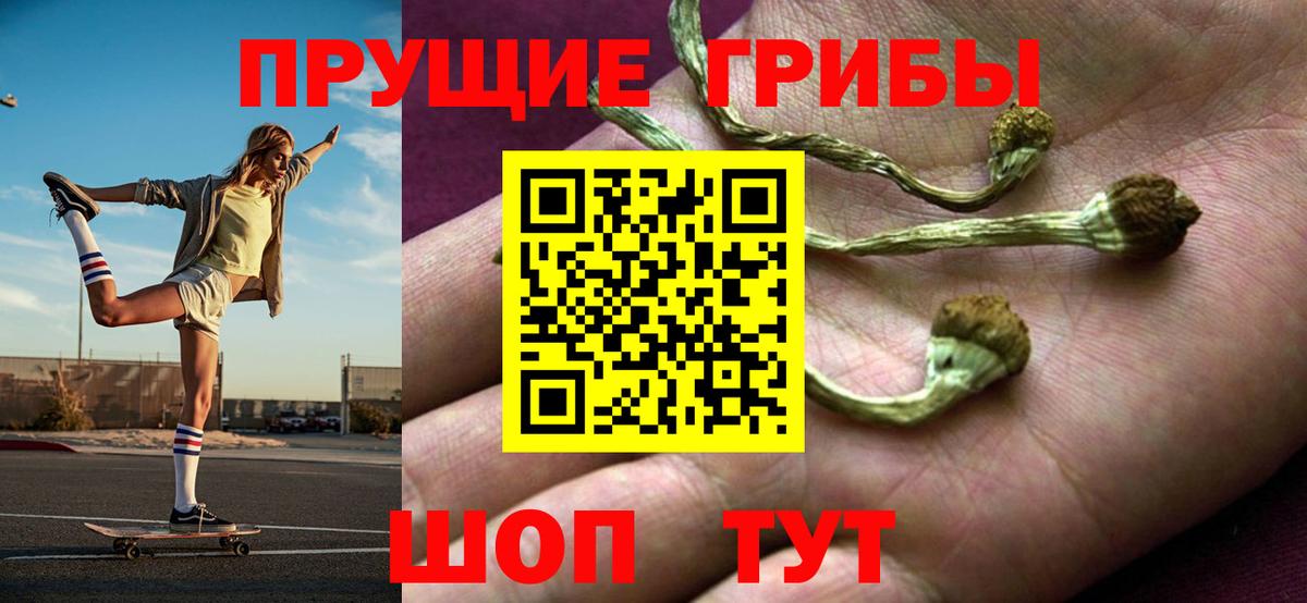 Галлюциногенные грибы прущие грибы  Вход с VPN  Псков 