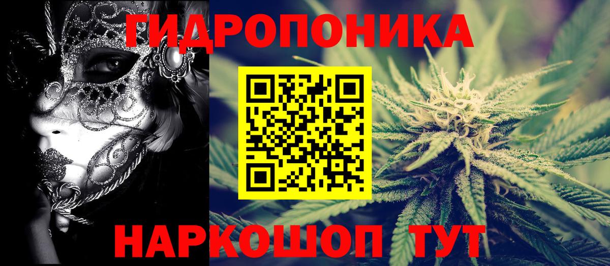 Конопля конопля Псков